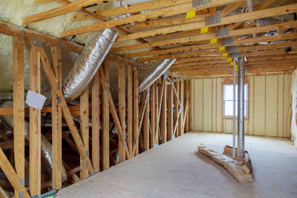 Best Geographic-Specific Insulation Services in Port Sulphur, LA