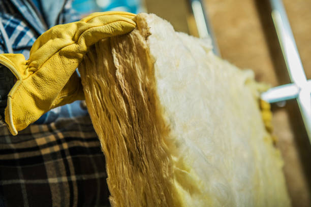 Best Fiberglass Insulation in Port Sulphur, LA